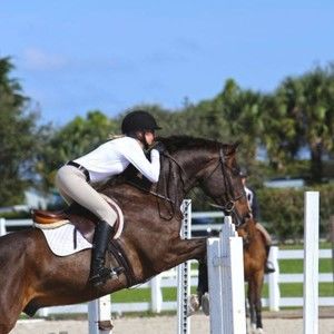 Meet your Posher, Shelly